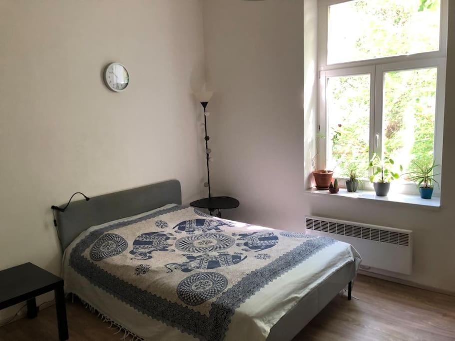 Cozy Karlin Apartment Prag